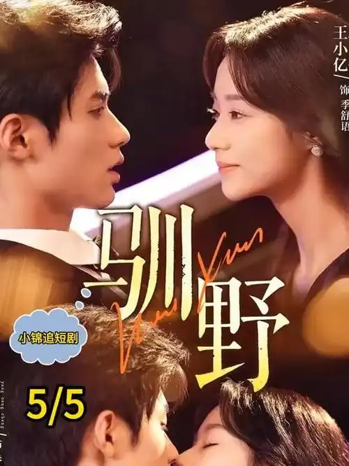 雾都档案 年代悬疑电视剧海报